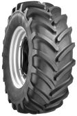 MICHELIN