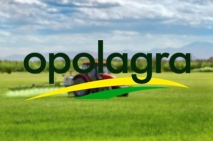 Opolagra 2014 